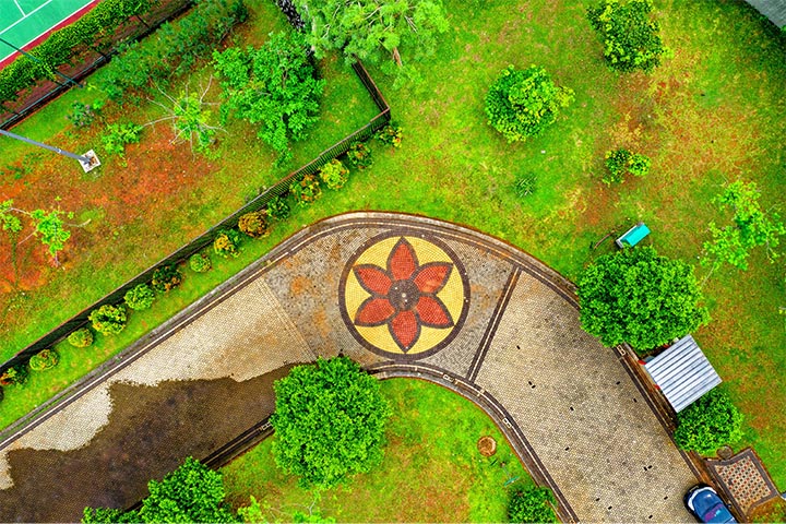 designing yard projects
